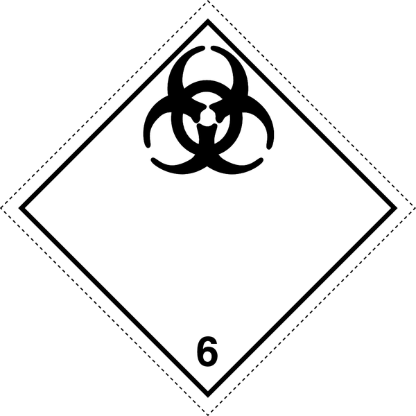 6.2